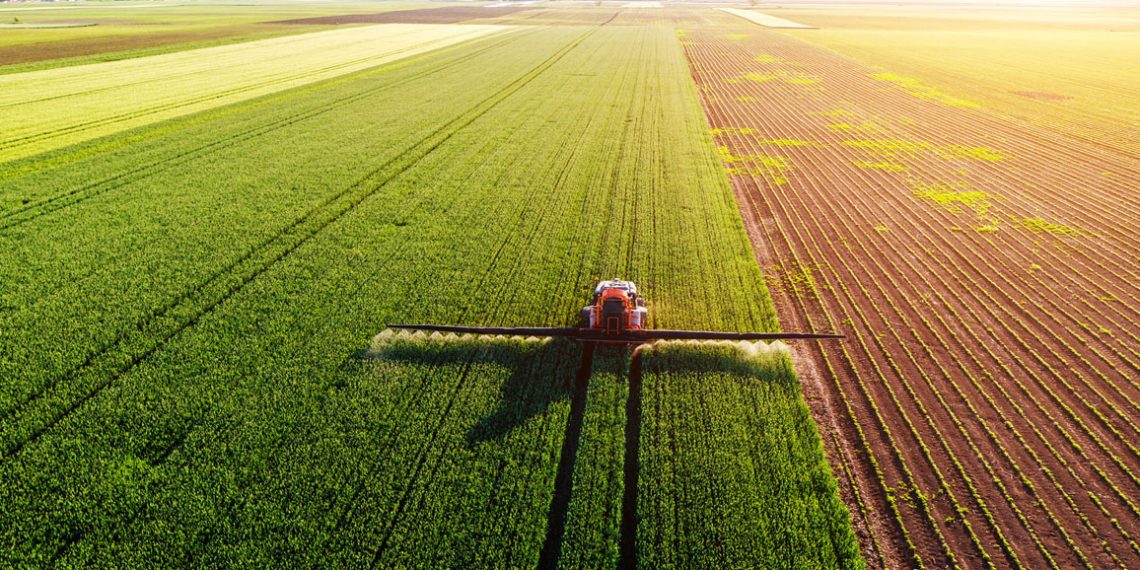 Smanjuju zasijane površine ili odustaju od proizvodnje