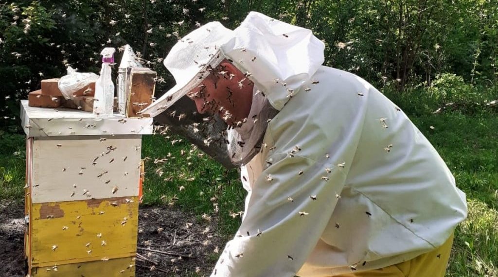 Širokobriješkog veterinara Grgu nagovorili su da krene u pčelarstvo, sada njegov med osvaja zlatne medalje
