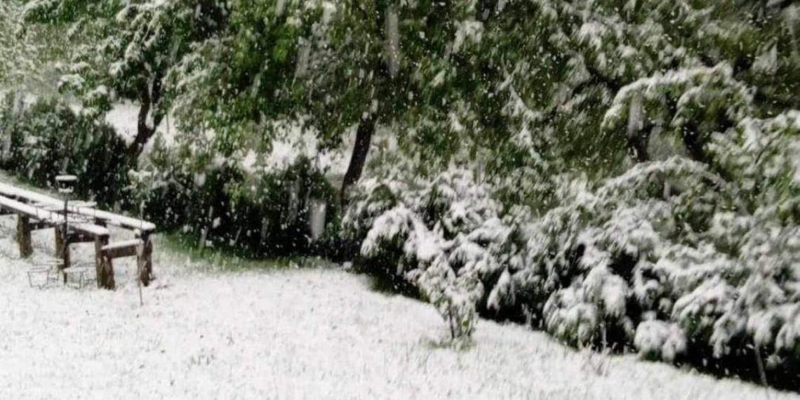 Snijeg stigao u BiH: Zabijelili se gradovi, temperature pale