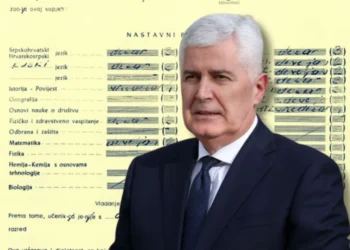 Dragan Čović, diploma