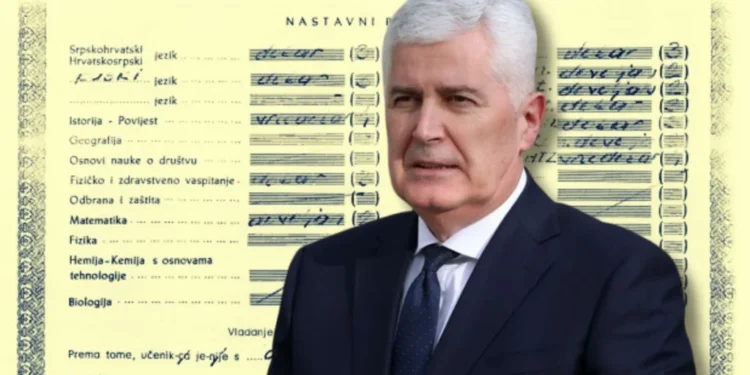 Dragan Čović, diploma