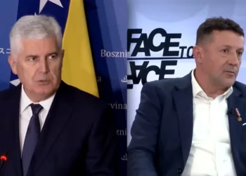 Dragan Čović, Zdenko Lučić